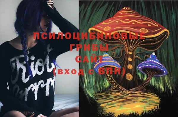 мдпв Лагань
