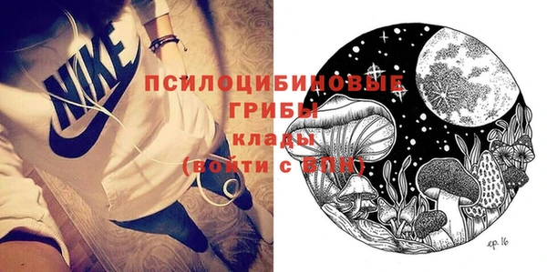 мдпв Лагань