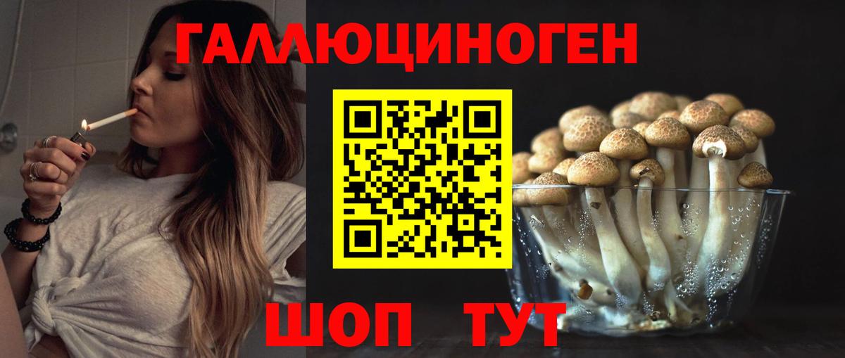 Воронеж  Псилоцибиновые грибы мицелий  Вход с VPN  Галлюциногенные грибы мицелий 